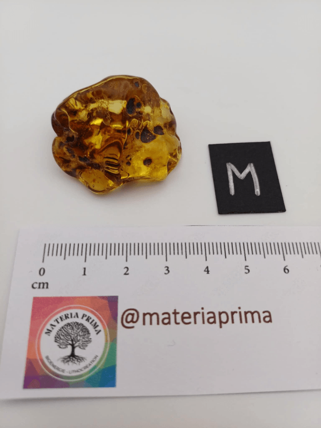 Ambre taille M (9-10g)
