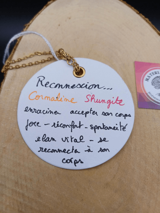 Collier shungite / cornaline 