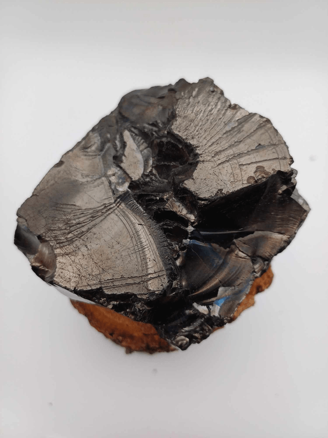 Shungite élite taille XL (204g)