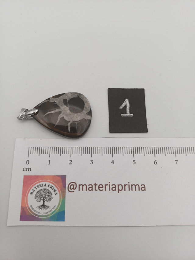 Pendentif septaria noire