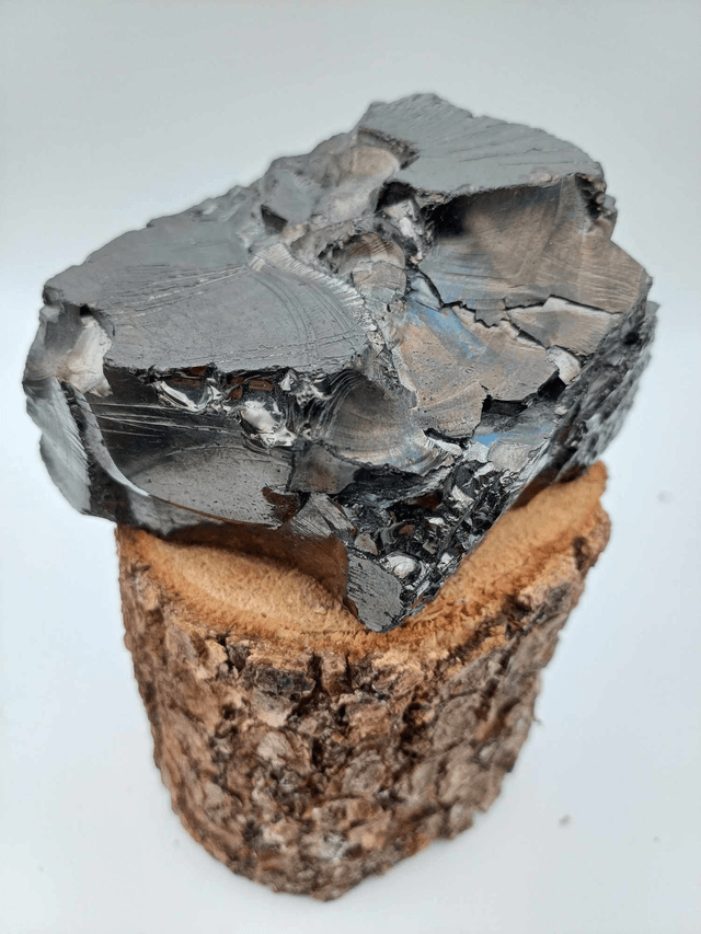 Shungite élite taille XL (204g)