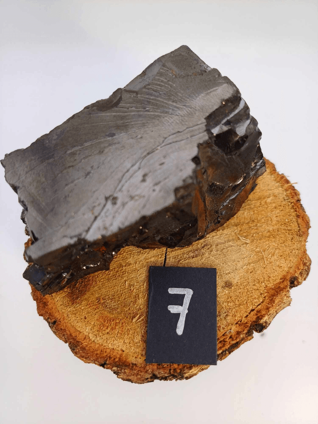 Shungite élite taille L (67g)