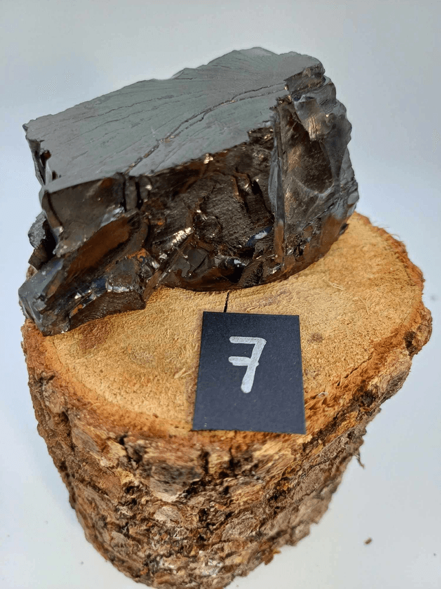 Shungite élite taille L (67g)