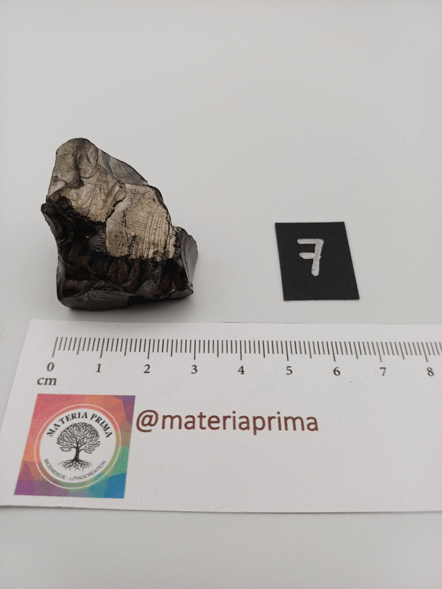 Shungite élite taille S