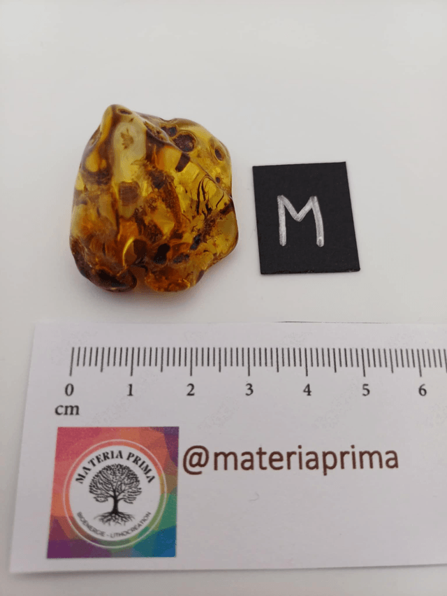 Ambre taille M (9-10g)